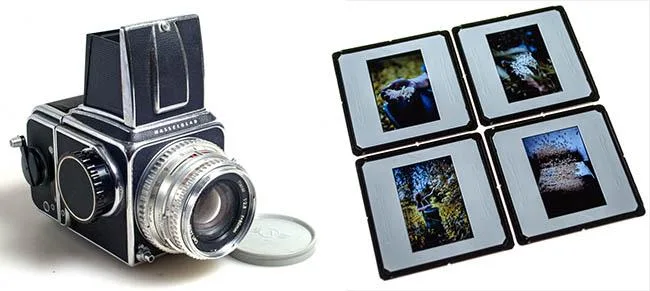 fotos van dias laten maken